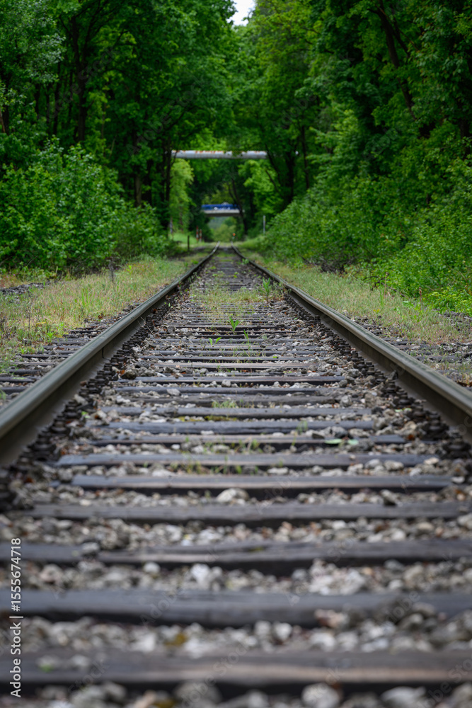 Fototapeta premium Railway tracks and sleepers with trees in the background and a bridge, captured in natural outdoor light, blending industrial structure with a touch of nature. 