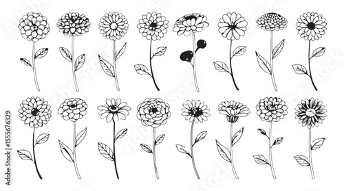 Collection of detailed hand drawn flower illustrations in a classic silhouette style