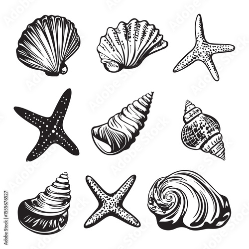 Set of different black sea shells and starfish vector illustration