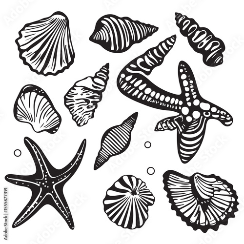 Set of different black sea shells and starfish vector illustration