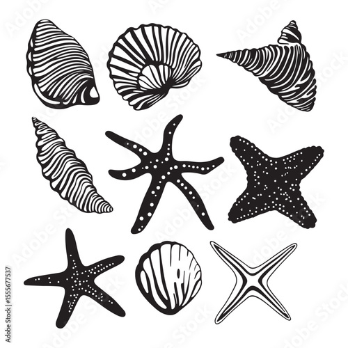 Set of different black sea shells and starfish vector illustration