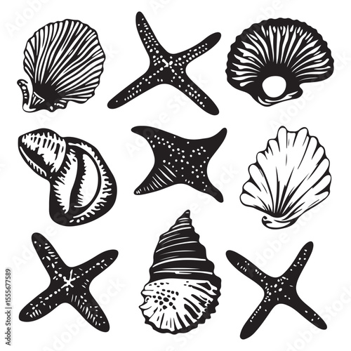 Set of different black sea shells and starfish vector illustration