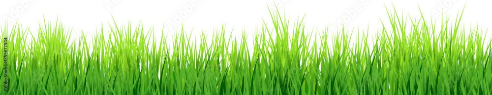 green grass isolated on white - park grass clipart -summer field vector - greenery element green grass isolated on white - park grass clipart -summer field vector - greenery element