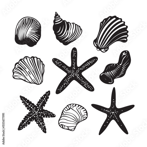 Set of different black sea shells and starfish vector illustration