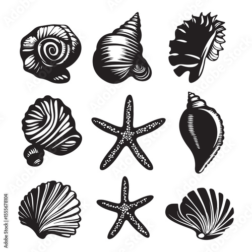 Set of different black sea shells and starfish vector illustration
