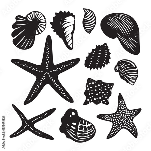 Set of different black sea shells and starfish vector illustration