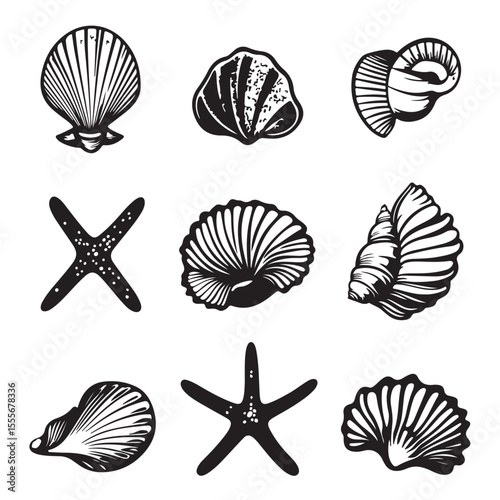 Set of different black sea shells and starfish vector illustration