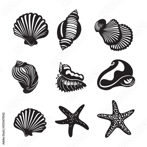 Set of different black sea shells and starfish vector illustration