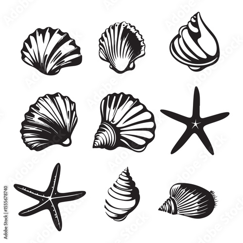 Set of different black sea shells and starfish vector illustration