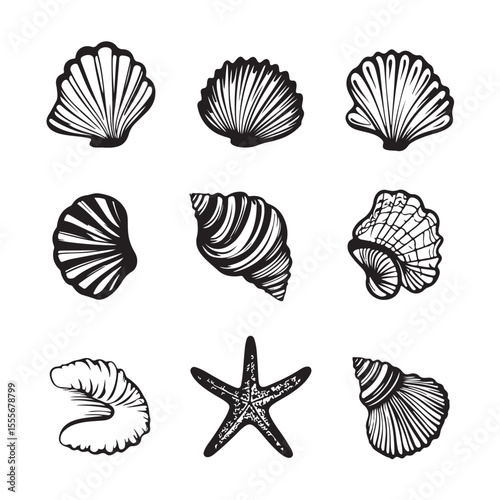 Set of different black sea shells and starfish vector illustration