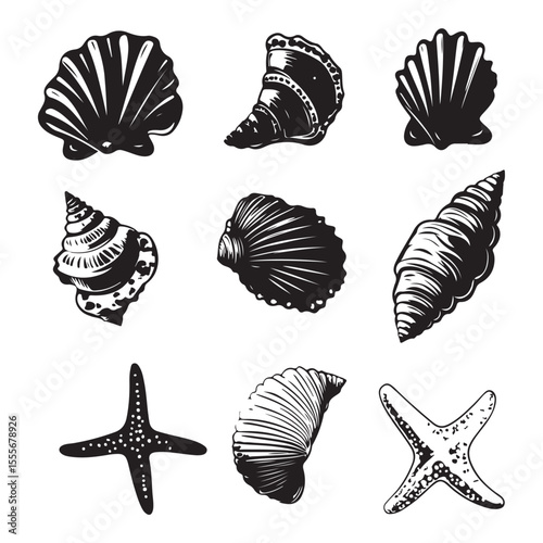 Set of different black sea shells and starfish vector illustration
