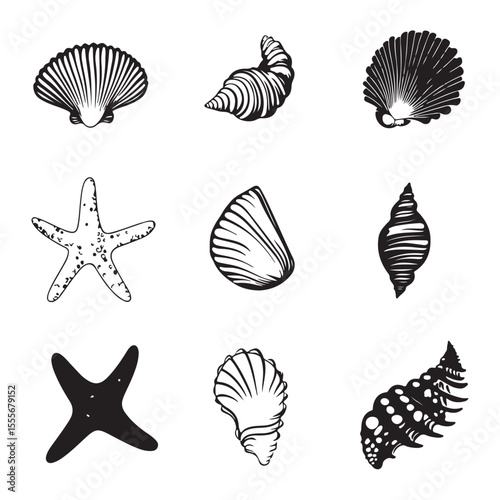 Set of different black sea shells and starfish vector illustration