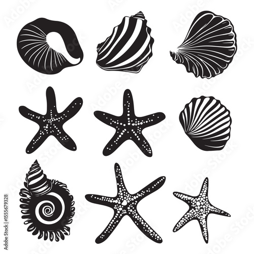 Set of different black sea shells and starfish vector illustration