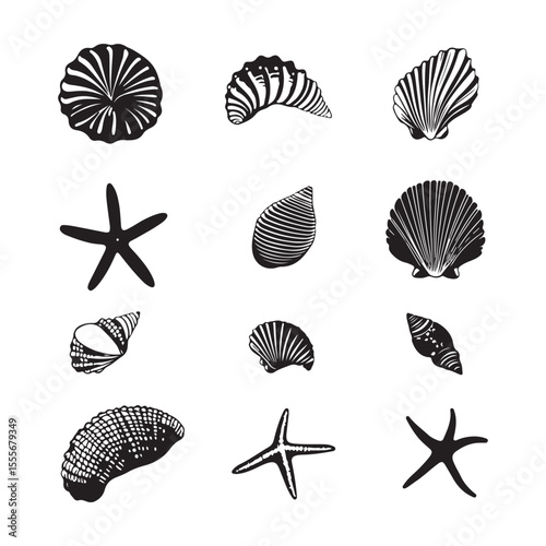 Set of different black sea shells and starfish vector illustration