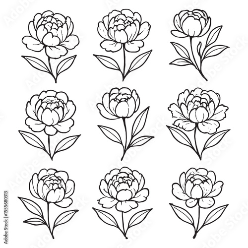 Hand-drawn outline peony flower set with delicate leaves, ideal for tattoo, coloring, and botanical design.