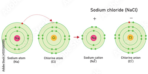 The molecule structure of ionic bonding of sodium chloride (NaCl). 