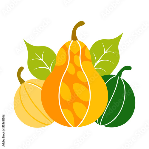 Colorful stylized pumpkins and gourds with green leaves on a white background