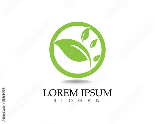 leaf green nature logo and symbol template Vector