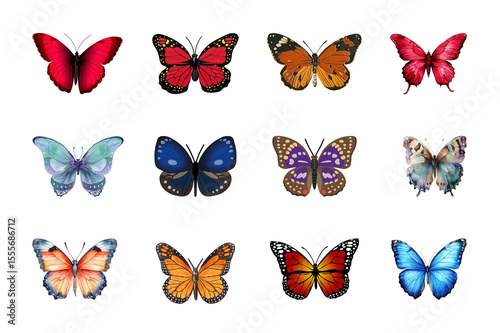Colorful vector illustration set of isolated butterflies in various designs, perfect for summer and spring nature collections