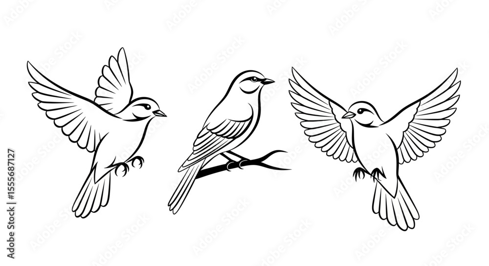 Obraz premium Black and White Line Drawing of Small Birds Flying and Perching on Branch 