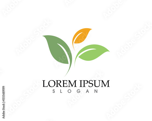 leaf green nature logo and symbol template Vector