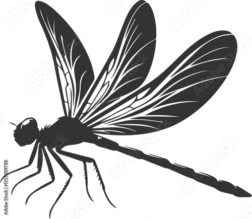 Dragonfly vector silhouette black