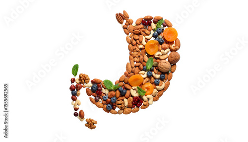 Healthy Stomach Filled with Nuts and Fruits on White Background