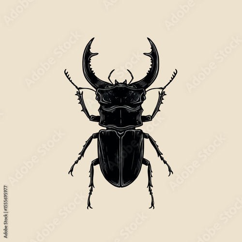 stag beetle vector illustration