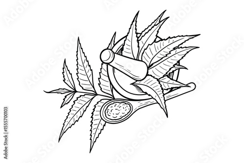Neem Leaves and Powder with Mortar Pestle: Black and White Illustration for Health.