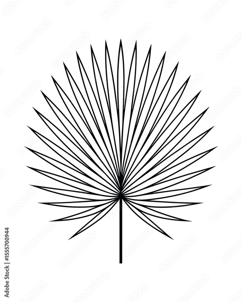 Obraz premium Elegant Single Fan Palm Leaf Line Art Illustration on White Background. Minimalist Design.