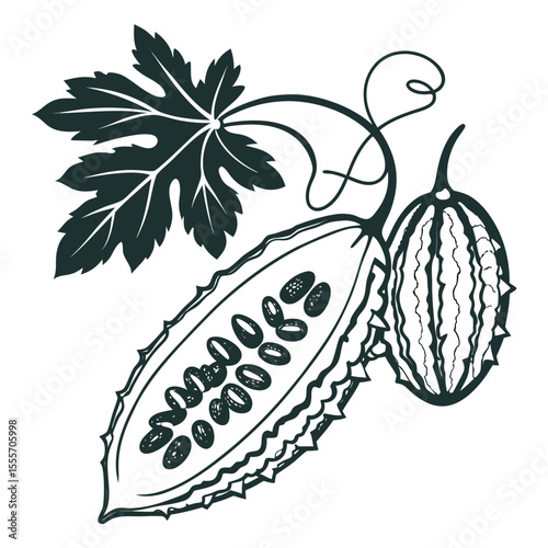 black and white bitter melon