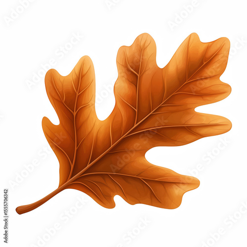 Dry oak leaf in autumn color isolated on white background