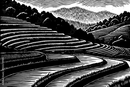 Rice terrace landscape with flowing irrigation streams in Asia, a black and white sketch vector hand drawn
