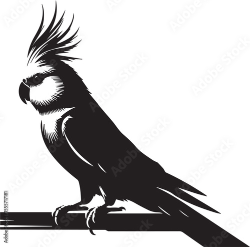 Cockatiel Parrot Vector