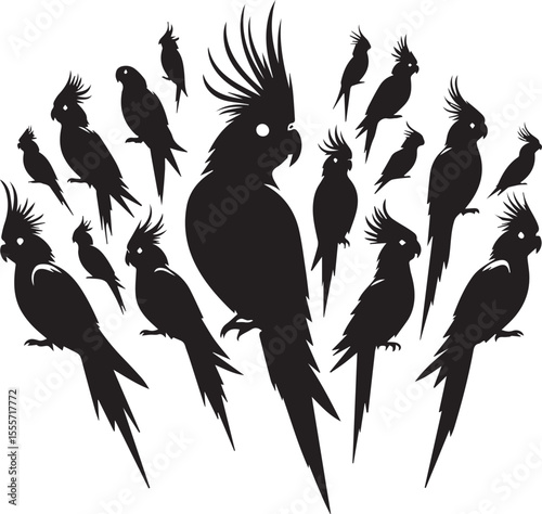 Cockatiel Parrot Vector