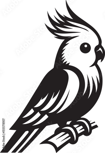 Cockatiel Parrot Vector