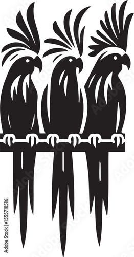 Cockatiel Parrot Vector