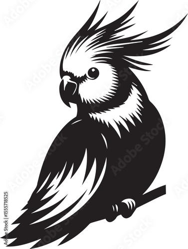 Cockatiel Parrot Vector