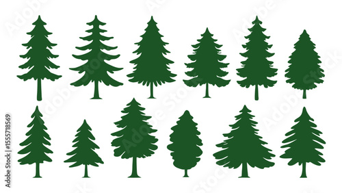 A row of evergreen tree silhouettes in various sizes