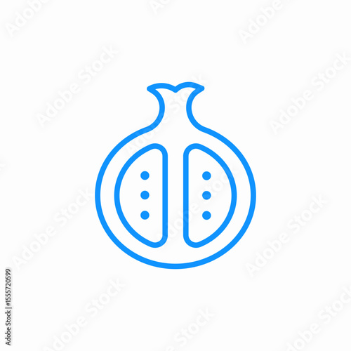 cut pomegranate icon sign vector