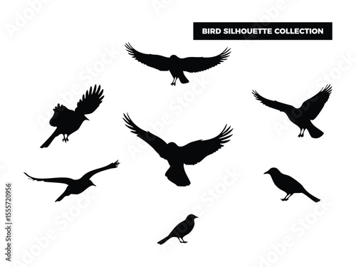 Vector Bird Silhouette Collection, Flying, Perching, and Soaring Birds for Graphic Design