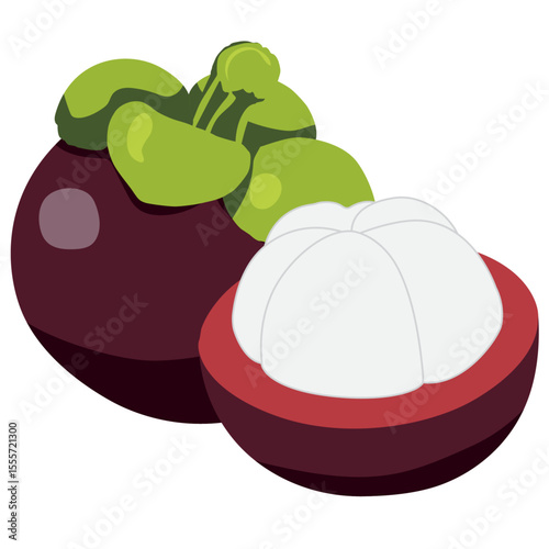 Fresh Mangosteen Whole and Half with White Flesh Isolated on Transparent Background