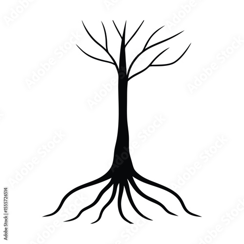 Detailed illustration of a mature tree with a prominent exposed root system on a clean white background