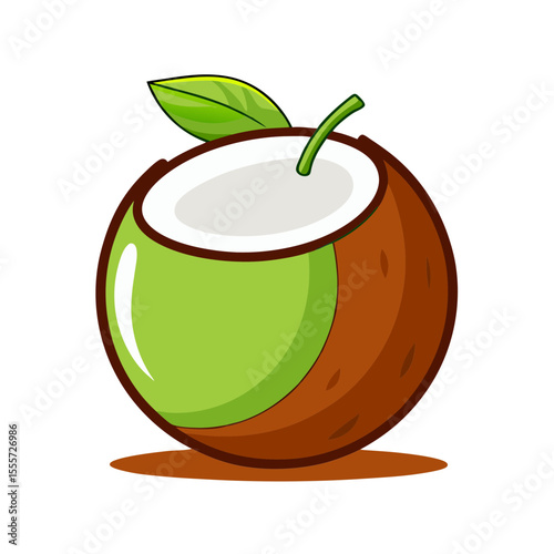 Cartoon illustration of a halved coconut with green husk and white flesh