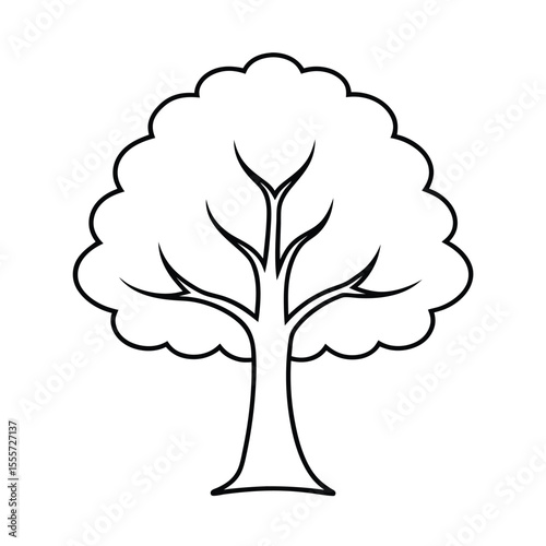 Majestic wide base tree trunk resembling an oak or redwood isolated on a clean white background for design