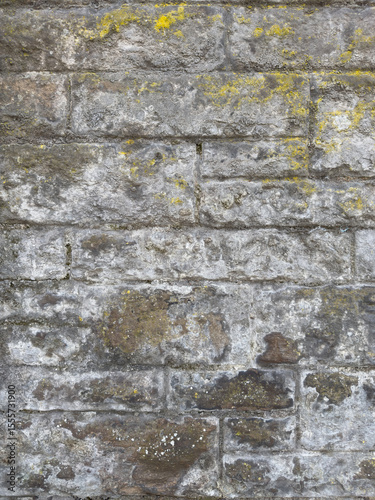 Rustic Charm: Close-Up of Aged Stone Wall with Lichen Patches