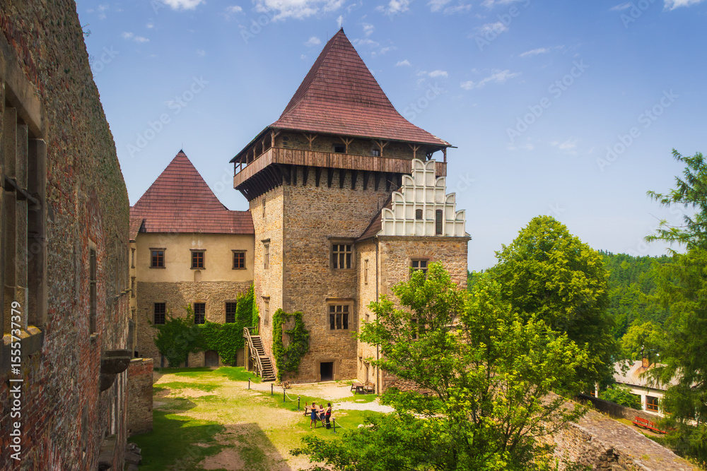 Fototapeta premium View to the ruins of castle in Lipnice nad Sázavou