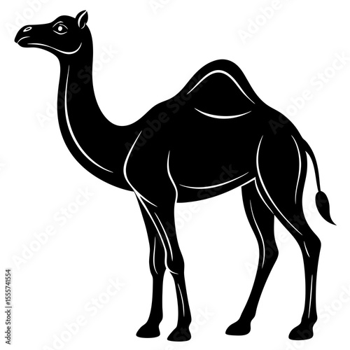 Camel walking in the desert and standing on white background illustration