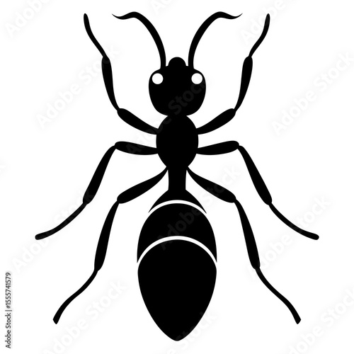 vector illustration of a spider