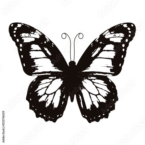 Grunge butterfly. Vector illustration of beautiful stipple butterfly texture isolated transparent background. Perfect wall fabric clothes decor. Room interior art. EPS 10